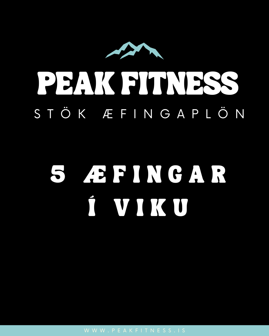 5 daga æfingaplan - styrkur